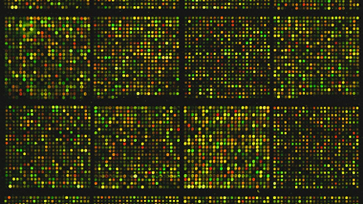 Unlocking the Mystery of KCNB1 Mutation: A Key to Understanding Neurological Disorders