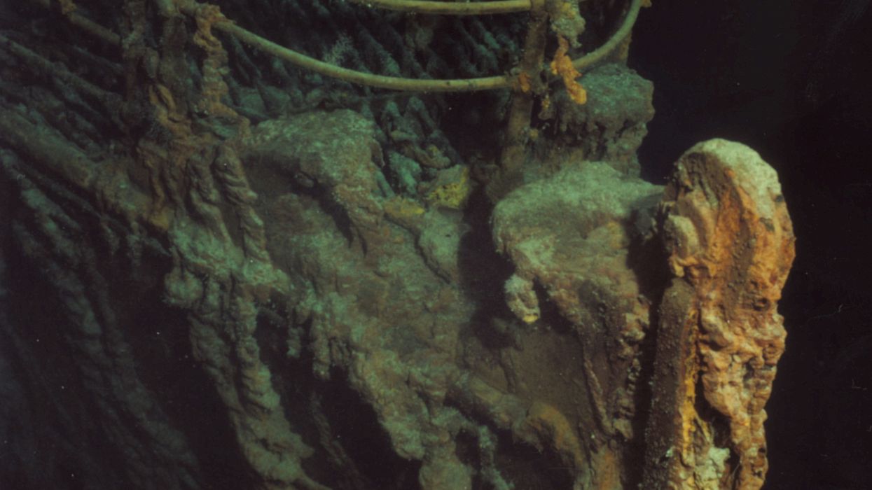 Submechanophobia: When Submerged Objects Scare the Fins Off You