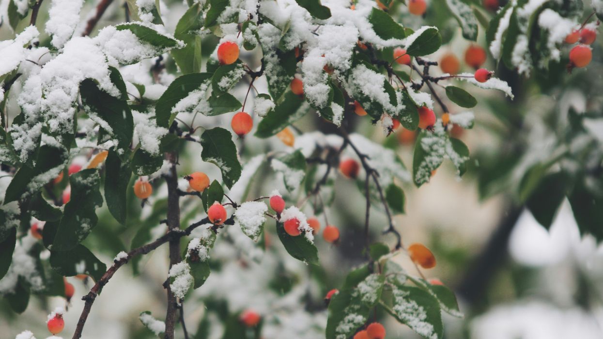 Key December Health Awareness Days