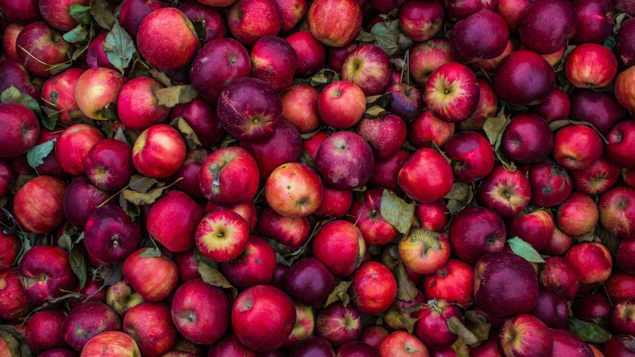 Does An Apple a Day Really Keep the Doctor Away?
