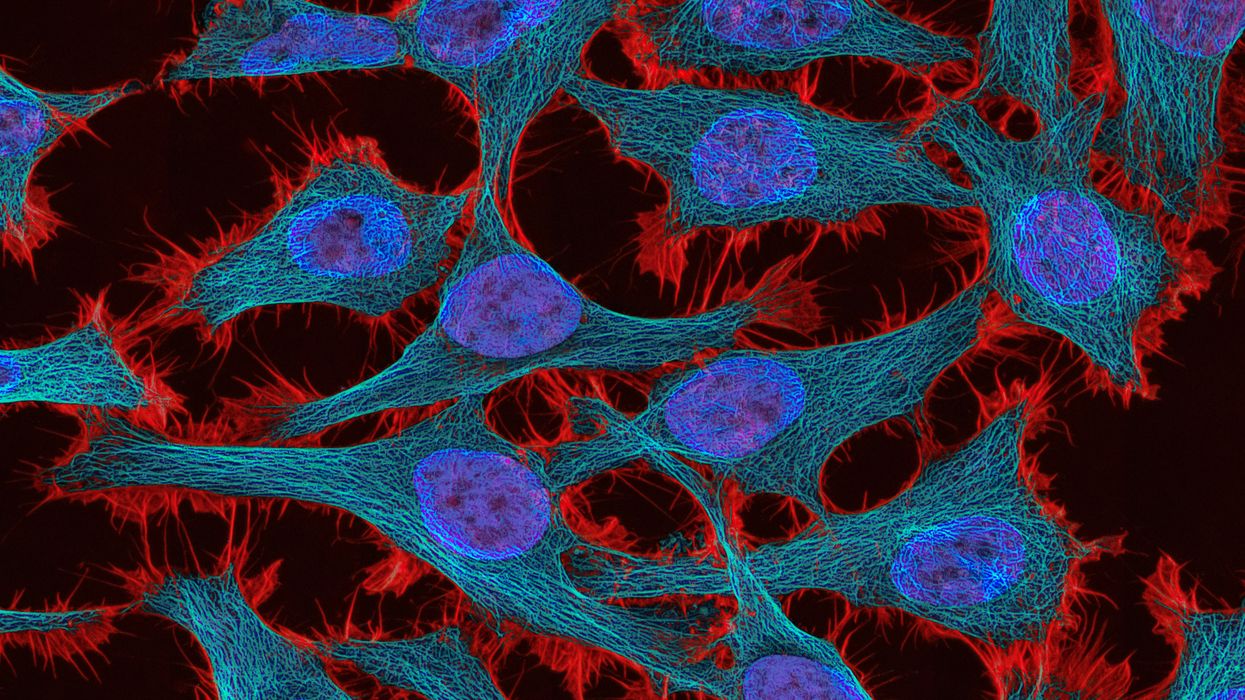 Cervical Cancer Awareness Month Should Be Every Month