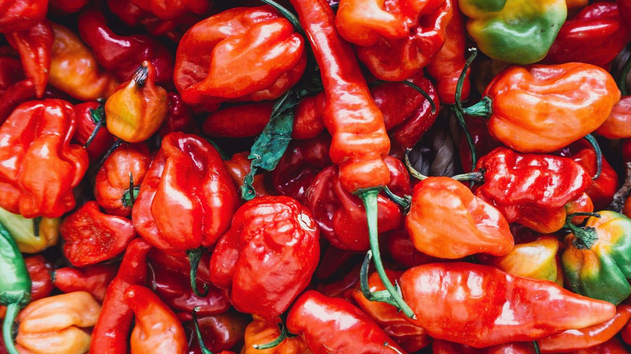 Can Chili Peppers Help with ADHD? The Spicy Connection Between Your Gut and Brain
