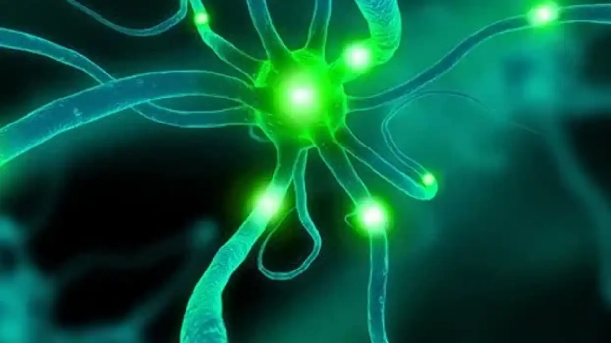 Depression Myths: Overwork, Recklessness and More